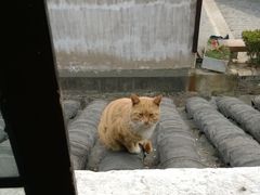 WP_20131214_016-长廊饭店(锦溪古镇店)