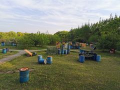 -上海长兴岛郊野公园