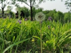 -东郊湿地公园