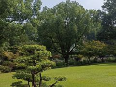 -申粤轩酒楼·三十年粤菜经典(丁香花园店)