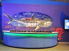 -烟台海昌鲸鲨海洋公园