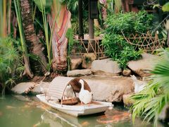 -厦门日月谷温泉渡假村