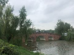 -白鹭湾湿地公园