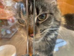 -Pets First伊珊娜洗护·精致美容·家庭式寄养(新会路店)
