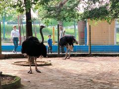 -武汉紫薇都市田园