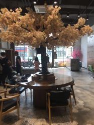 -简影造型·自选烫染接发salon