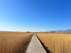 -野鸭湖国家湿地公园