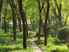 -蜀冈西峰生态公园