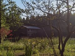 -黄海国家森林公园