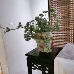 -香秀空间科技抗衰·美容中心
