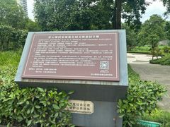 -重庆彩云湖湿地公园