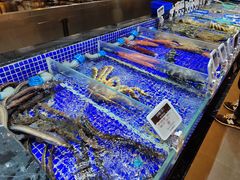 -高佳庄·舟山海鲜(海景旗舰店)