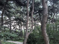 -老虎石海上公园