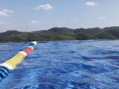 -天目湖涵田半山温泉