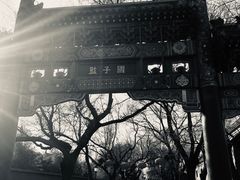 -北京国子监胡同