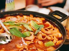 湘味肥肠火锅-湘肠香火锅店(团结湖店)