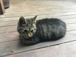 -汉刺青TATTOO STUDIO