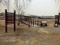 -西青郊野公园