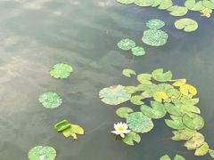 -燃厚蛋糕(卓展中信城店)