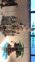 -乐高品牌旗舰店(人民广场店)