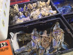 -潮粤香海鲜酒楼(沙湖店)