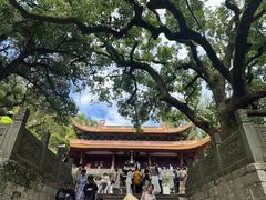 -普陀山风景名胜区-法雨禅寺