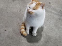 -关中道陕味艺术餐厅(西岳庙店)