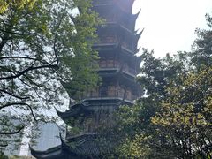 -红梅公园