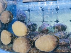 -日照大牌檔•小船海鲜(万平口店)
