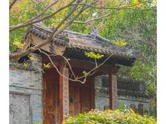 -深圳国际园林花卉博览园