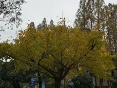 -上海尚嘉中心