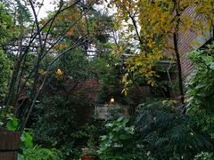 -西村咖啡店 (中山手本店)