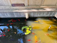 -万寿八仙宫