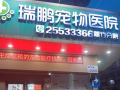 -瑞鹏宠物医院·微创内窥镜·骨外科·牙科(翠竹分院)