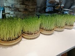 -千稻剁椒大鱼头(CityOn熙地港店)