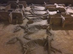 -洛阳周王城天子驾六博物馆