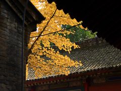 -少华山国家森林公园