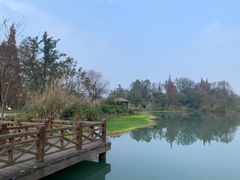 -桤木河湿地公园