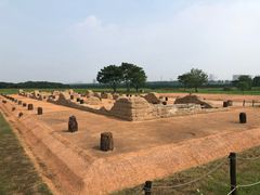 -盘龙城国家考古遗址公园