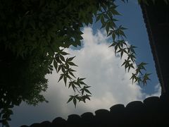 -广信传说