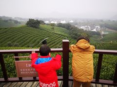 -帐篷客·溪龙茶谷度假酒店