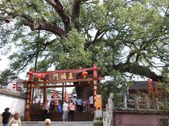 -新安江山水画廊风景区