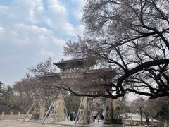 -北陵公园