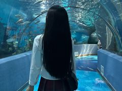 -合肥海洋世界