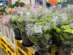 -山姆会员商店(上海浦东店)
