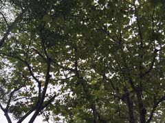 -新江湾城公园