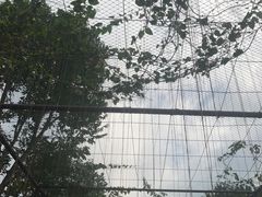 -海南文笔峰盘古文化旅游区