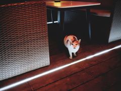 -琶醍壹号•潮菜江景餐吧