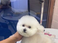 -FAELING PETS美天灵宠物(富力广场店)