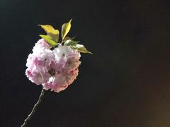 -江南大学(蠡湖校区)